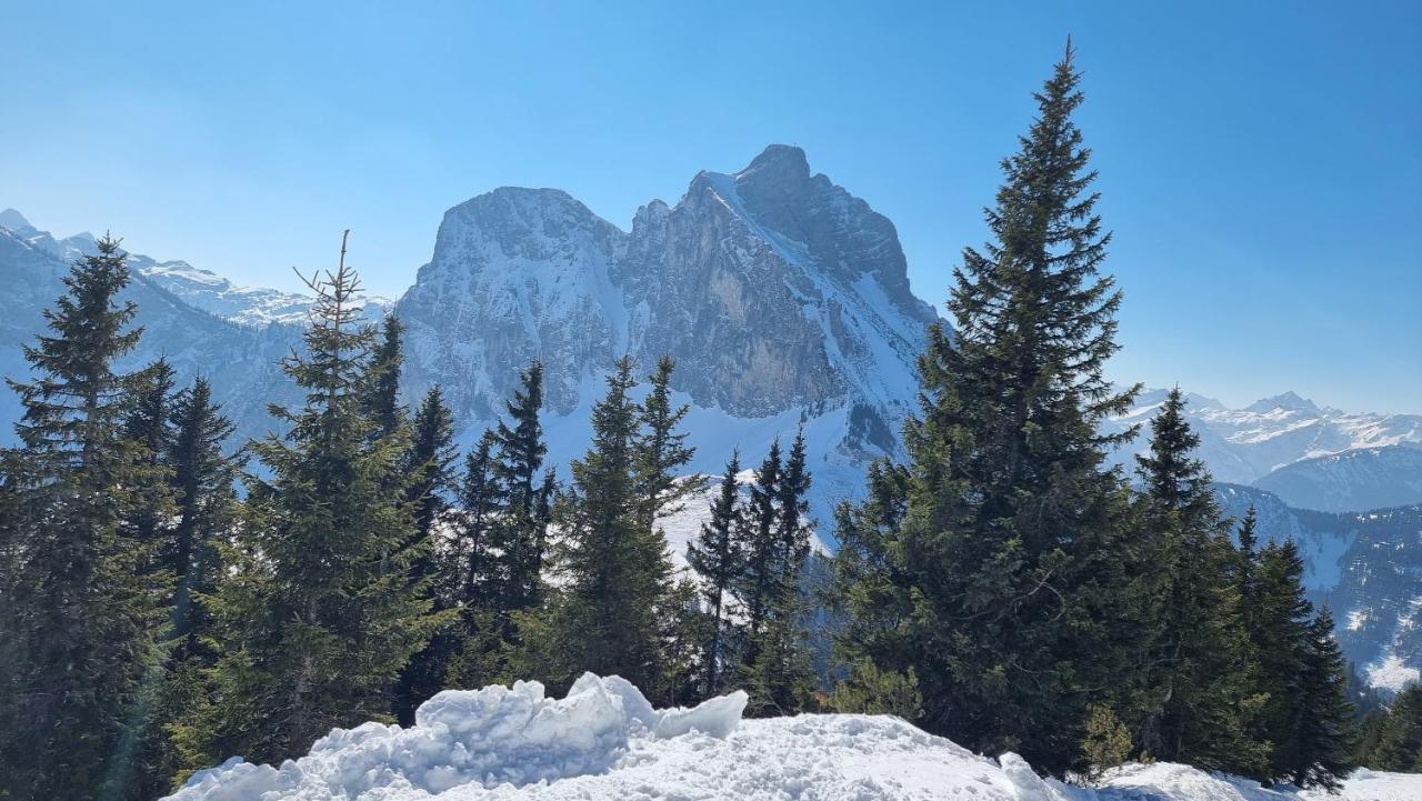 Appartamento Gipfelstuermer Nesselwang Esterno foto